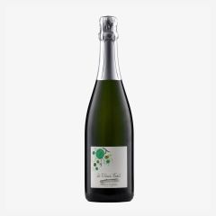 Francis Jourdain Le Vieux Fusil Brut