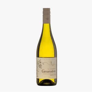 la Colombette Camaraderie Blanc Evolution 2